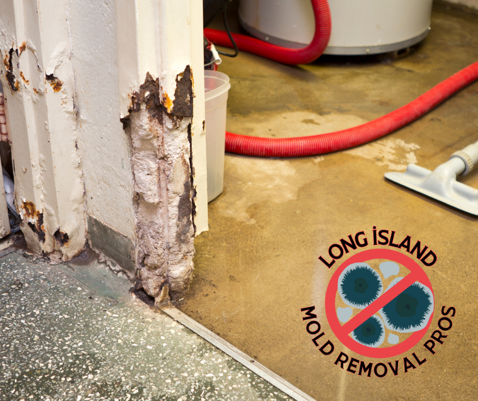 Long Island Mold Removal Pros - Quality Restoration Services