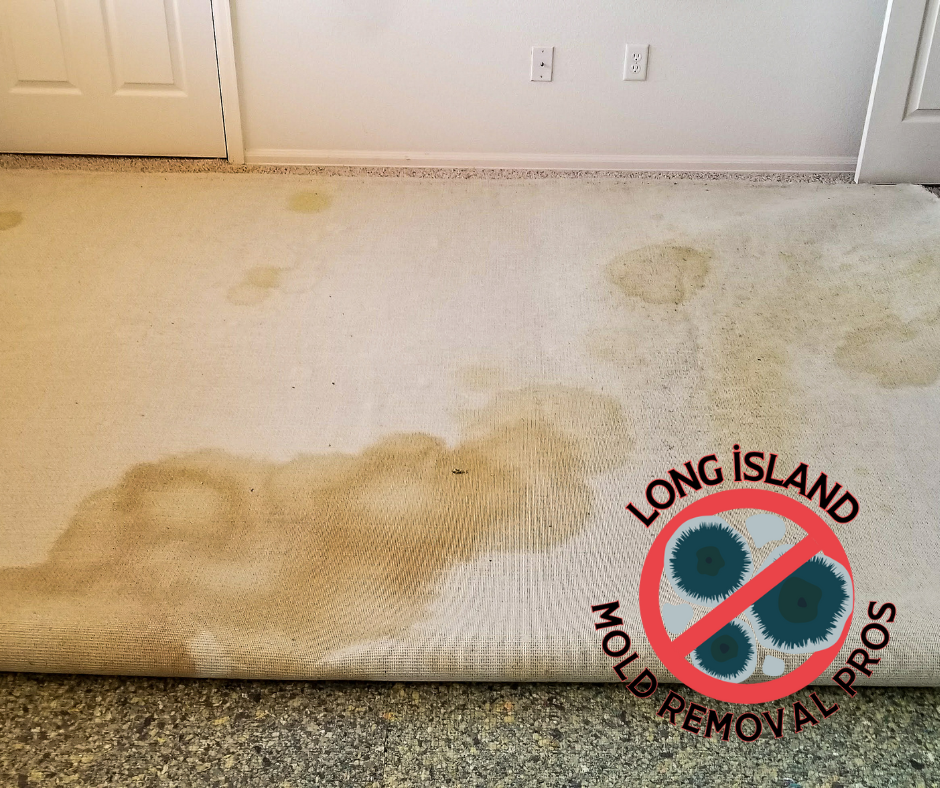 Long Island Mold Removal Pros - Comprehensive Cleaning Services