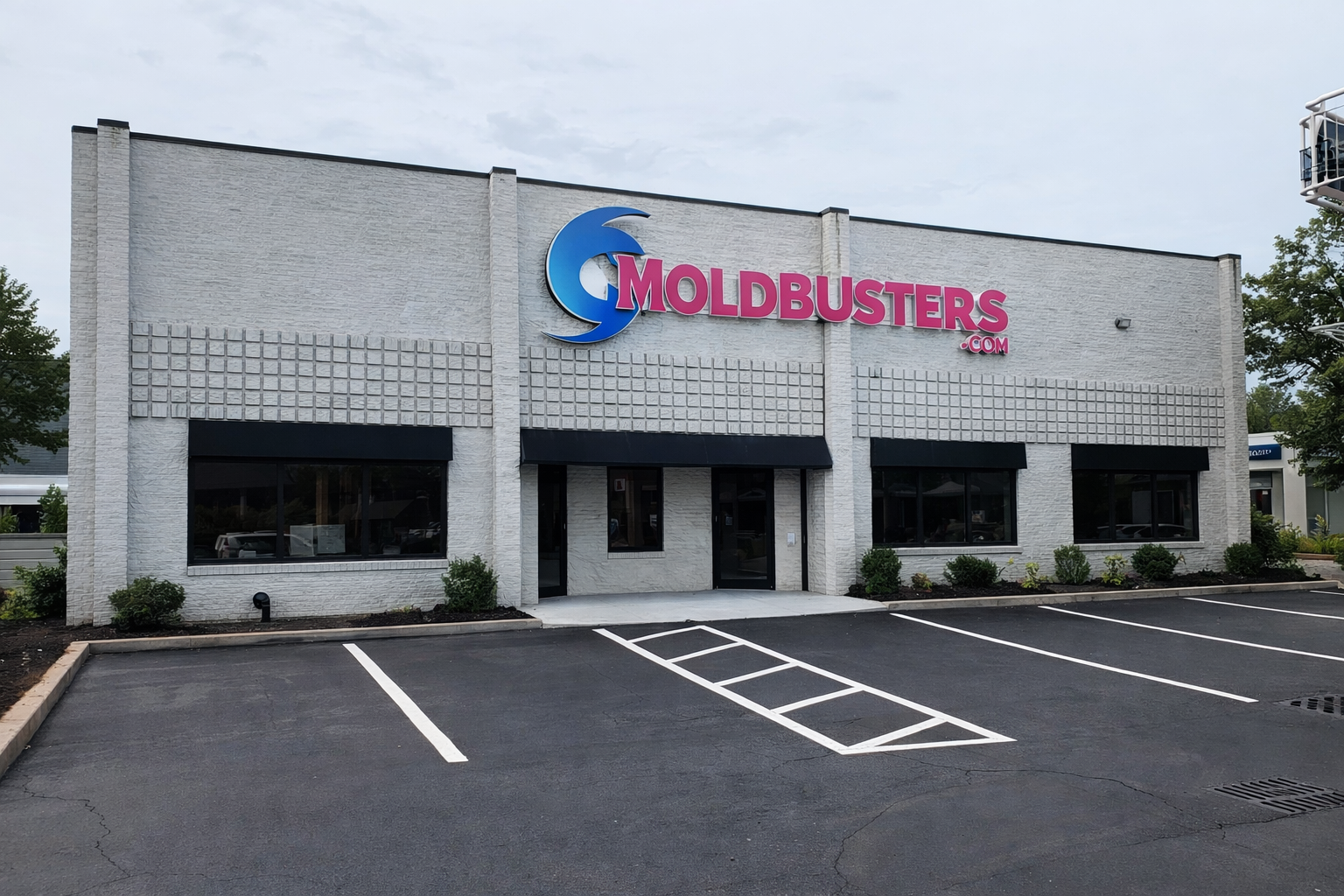 Moldbusters - We service Long Island, the Hamptons, and NYC