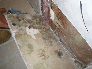 Southampton Mold Removal - Affordable Pricing + Professional Service