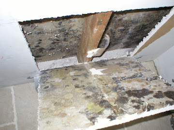 Moldbusters - Residential & Commercial