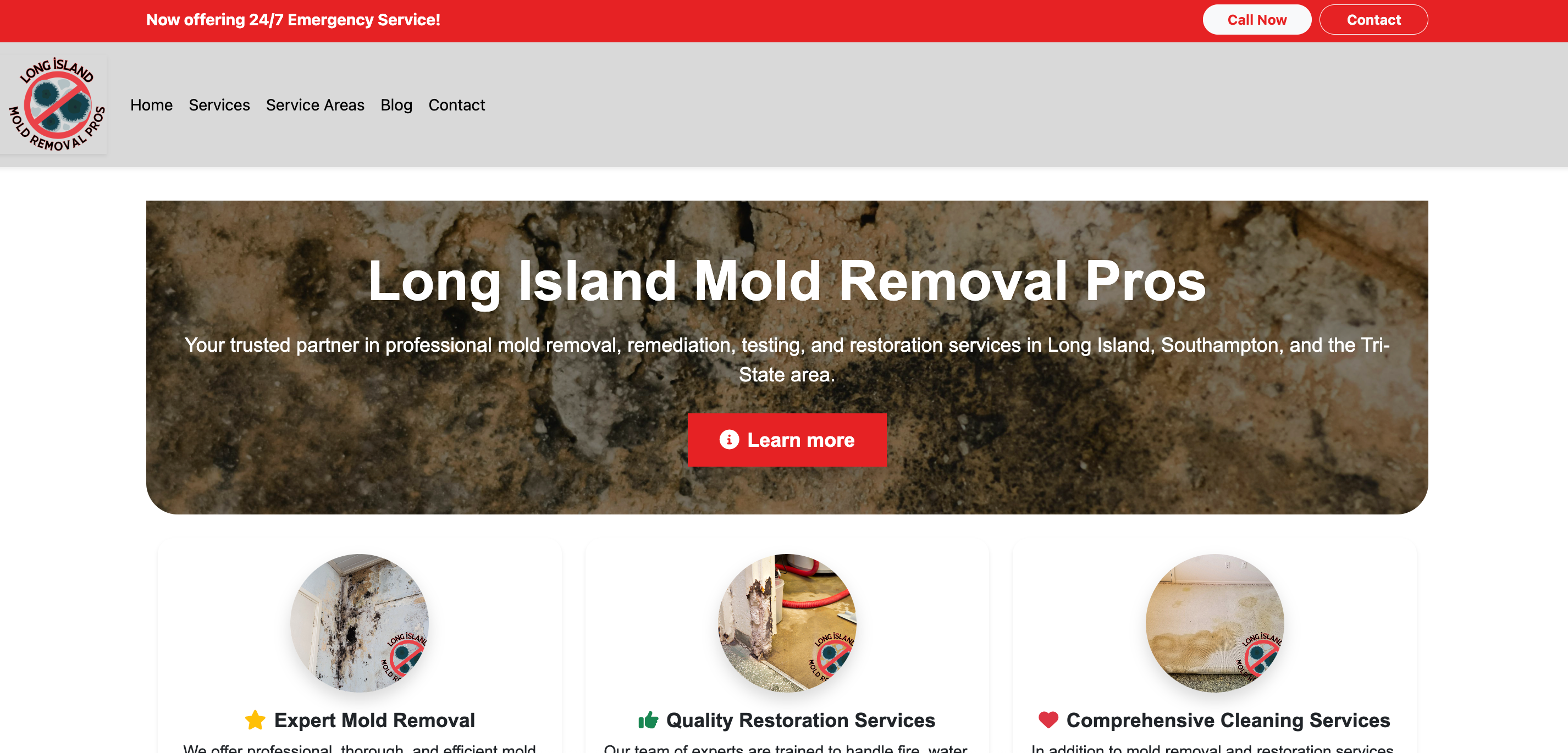 Long Island Mold Removal Pros Website