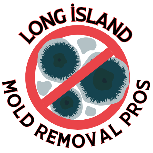 Long Island Mold Removal Pros