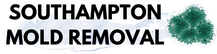 Southampton Mold Removal